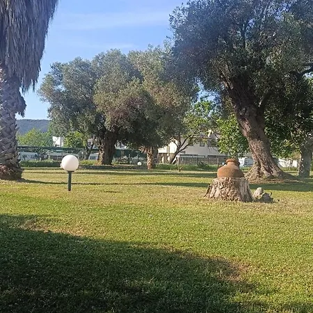 Eden's Garden *